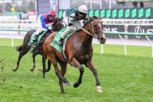 Image post by @flemingtonvrc on Instagram