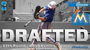 Image post by @IslandersBSB on Twitter