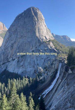 Video post by @allisonhollandmedia on TikTok
