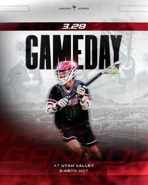 Image post by @gamecocklax on Instagram