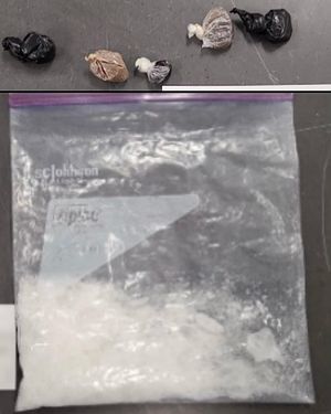 Image post by @scvsheriff on Instagram