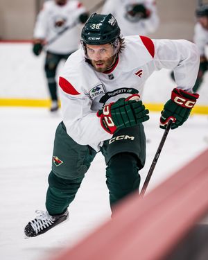 Image post by @minnesotawild on Instagram