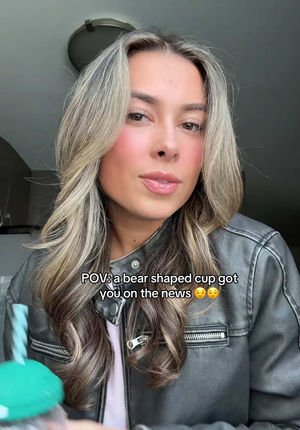 Video post by @dinapalevic on TikTok