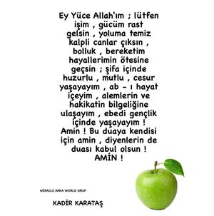 Image post by @kadirkaratasworld on Instagram