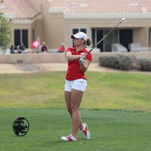 Image post by @badgerwgolf on Instagram