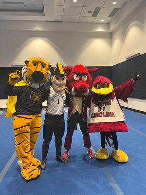 Image post by @razorbackmascots on Instagram