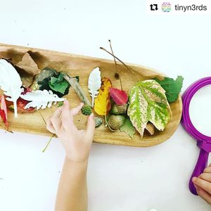 Image post by @learningresources on Instagram