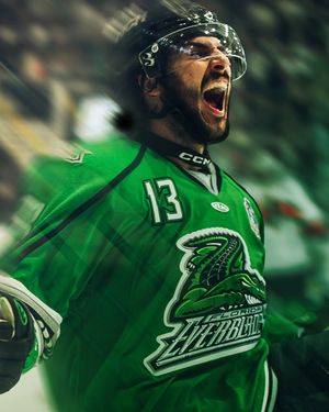 Image post by @fl_everblades on Instagram