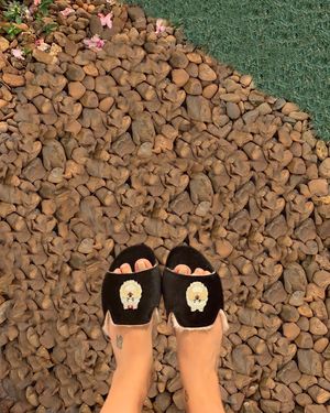 Image post by @pantudog on Instagram