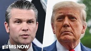 Video post by @msnbc on YouTube
