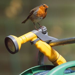 Image post by @rspb on Instagram