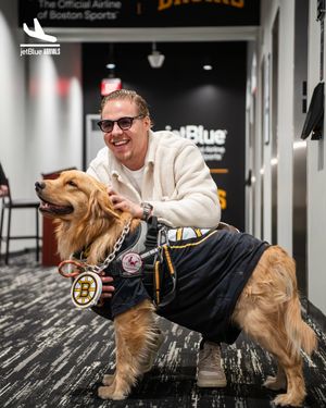 Image post by @nhlbruins on Instagram