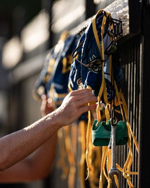 Image post by @ucimwpolo on Instagram