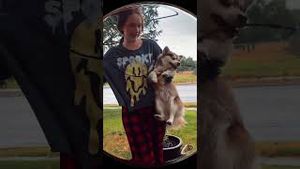 Video post by @katrinaadamson3 on YouTube