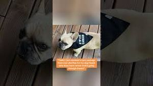 Video post by @Live Like Roo Foundation on YouTube