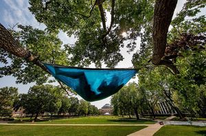 Image post by @illinois_alumni on Instagram