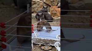 Video post by @aliaboutine on YouTube