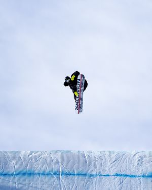 Image post by @alexorchilles on Instagram