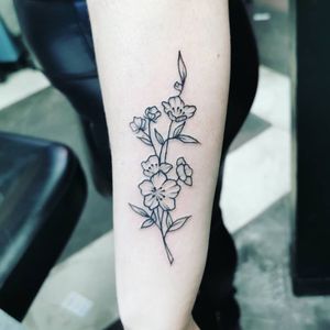 Image post by @tauntontattooco on Instagram