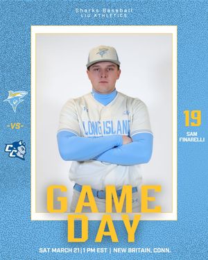 Image post by @liubaseball on Instagram