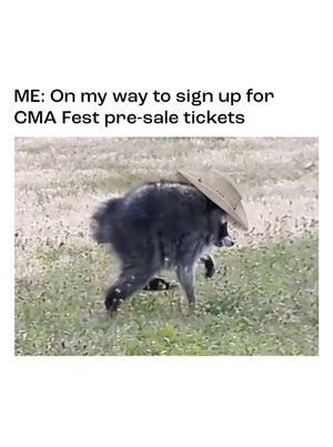 Image post by @cma on Instagram