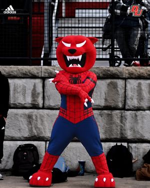 Image post by @duathletics on Instagram
