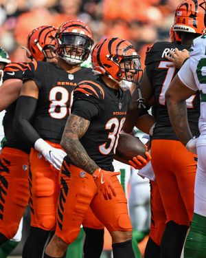 Image post by @bengals on Instagram