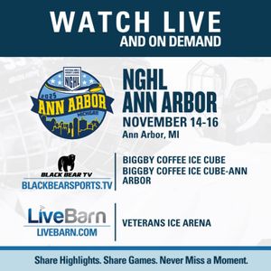 Image post by @nghlhockey on Instagram