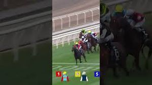Video post by @worldhorseracing on YouTube