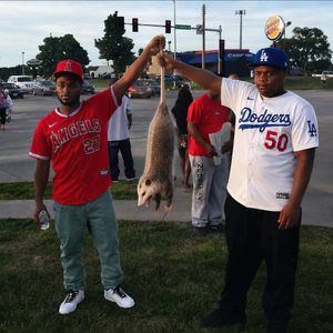 Image post by @therealdodgerhogs on Instagram