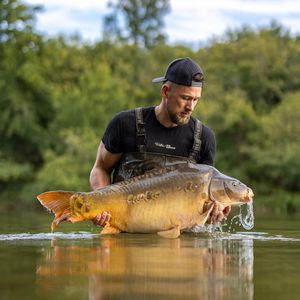Image post by @brothercarp on Instagram