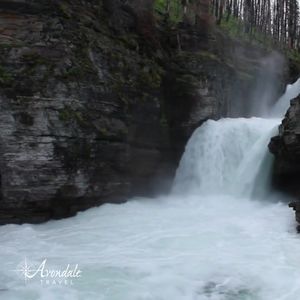 Video post by @AvondaleTravel on Facebook