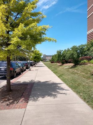 Image post by @SpringHillRoanoke on Facebook