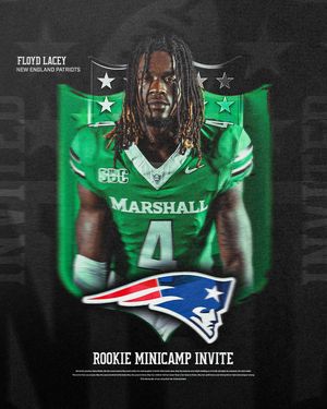 Image post by @herd_fb on Instagram