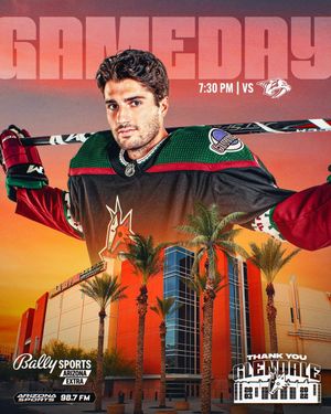 Image post by @arizonacoyotes on Instagram