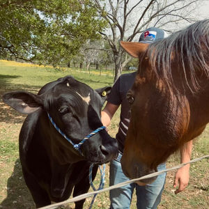 Image post by @txextension on Instagram