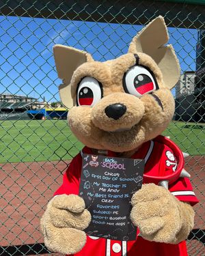Image post by @chico_epchihuahuas on Instagram