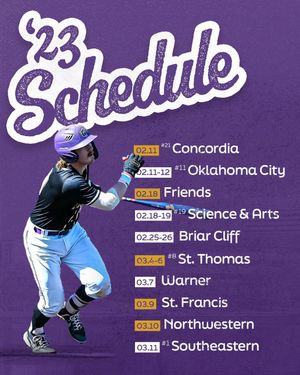 Image post by @bubruins_bsbl on Instagram