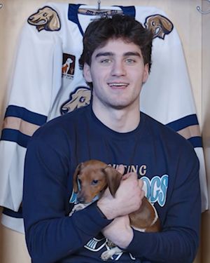 Image post by @sfstampede on Instagram
