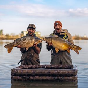 Image post by @brothercarp on Instagram