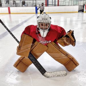 Image post by @goaliegearnerd on Instagram
