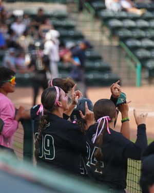 Image post by @usfsoftball on Instagram