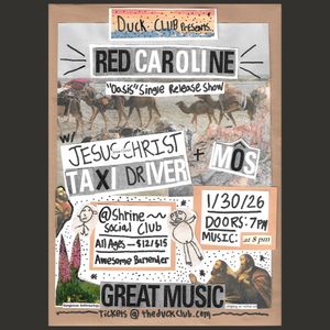 Image post by @duckclubboise on Instagram