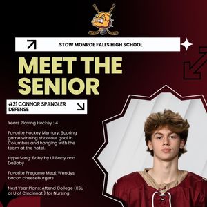 Image post by @stowicehockey on Instagram