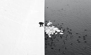 Image post by @fubiz on Instagram