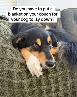 Image post by @booplethesnoot on Instagram