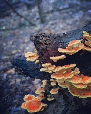 Image post by @motorcityaxe on Instagram