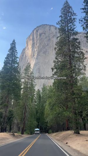 Video post by @allisonhollandmedia on TikTok