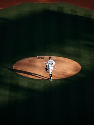 Image post by @tigers on Instagram