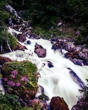 Image post by @cristan.nature.photography on Instagram
